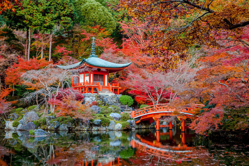 The 10 Best Things to Do in Tokyo | Travelvui